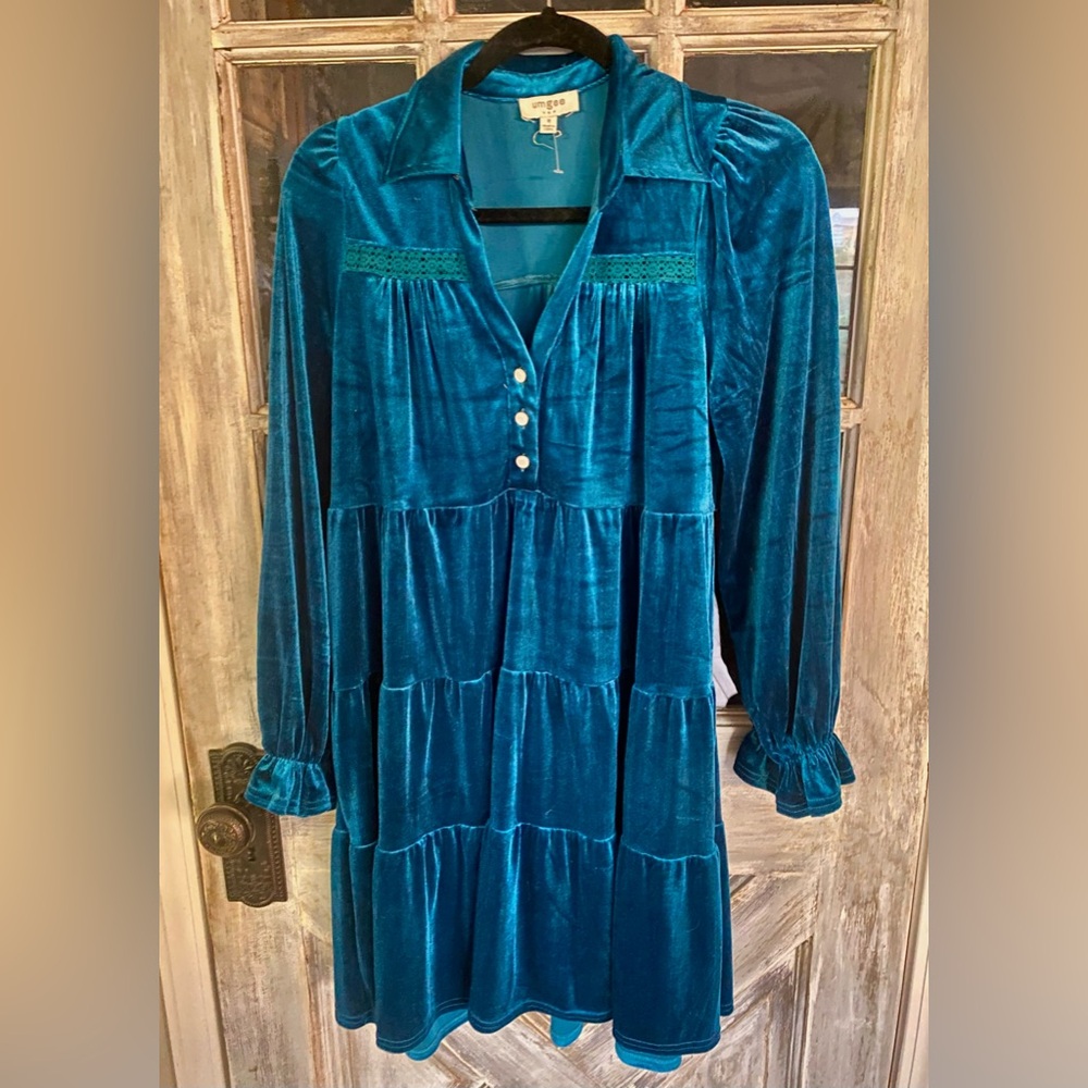 Beautiful velvet dress perfect for the holidays.  Never worn